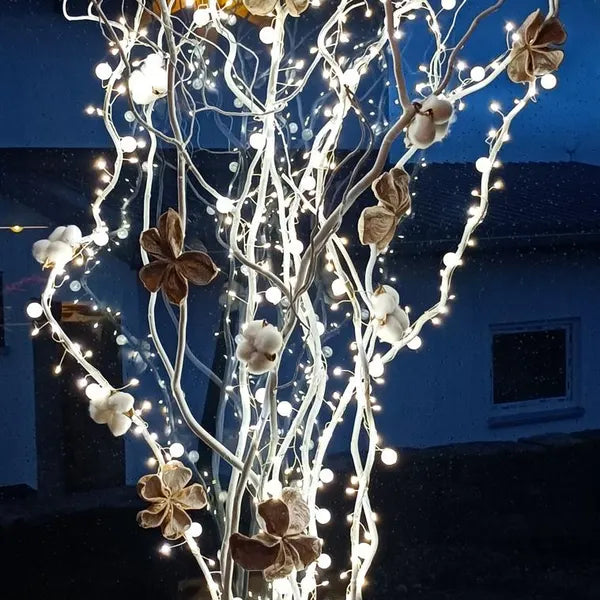 Venesa